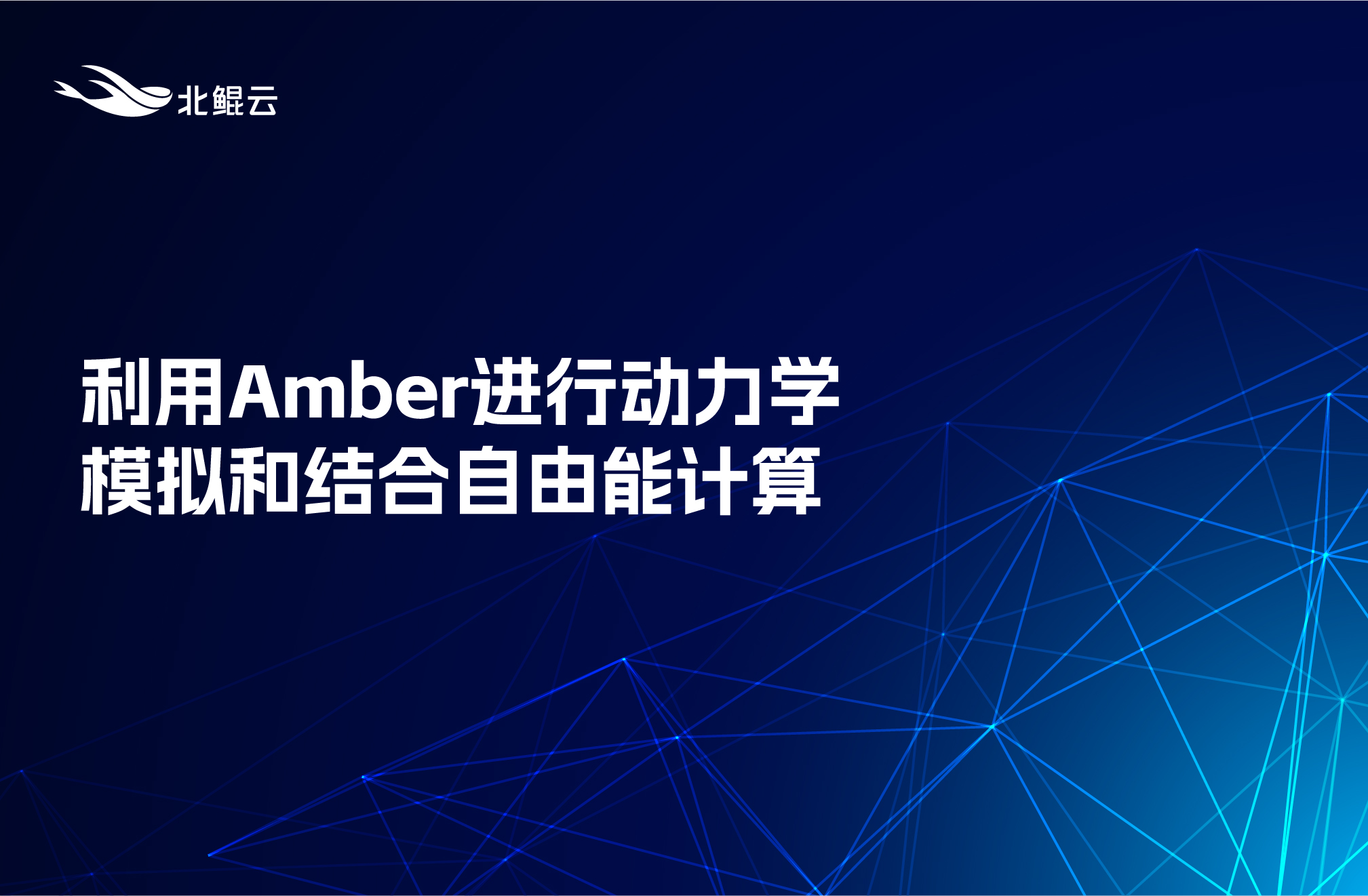 利用Amber进行动力学模拟和结合自由能计算